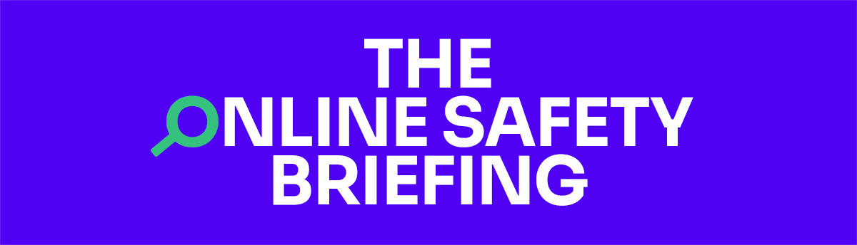 The Online Safety Briefing