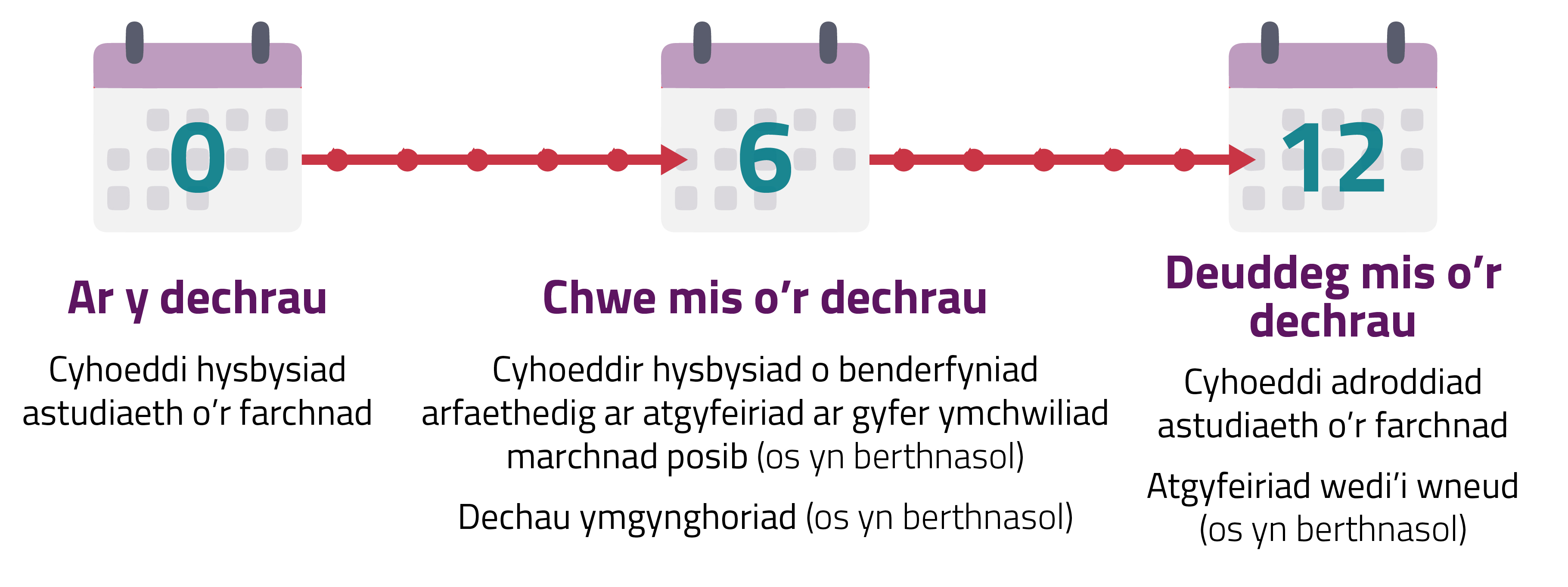Graffeg llinell amser o'r broses ar gyfer Astudiaeth o'r Farchnad
