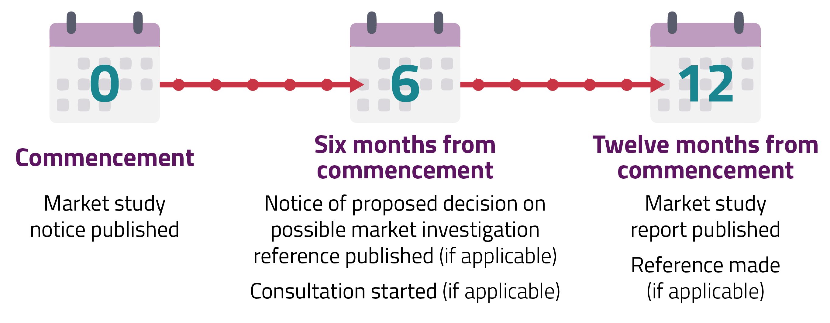 Timeline graphic of the process for a Market Study