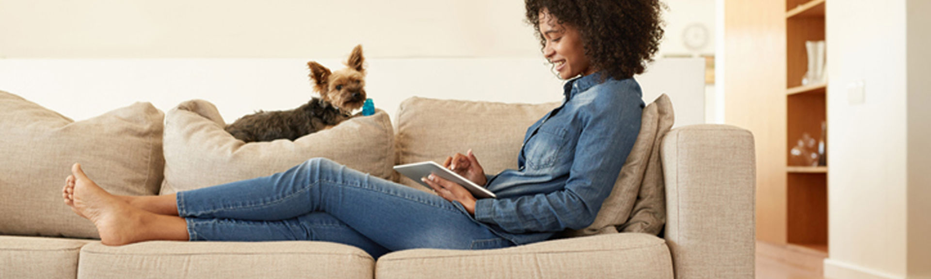 Woman using a tablet while sitting on a sofa with a dog