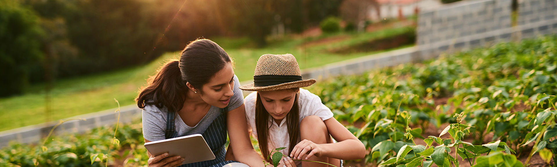 Women in a field assessing crops using a tablet device