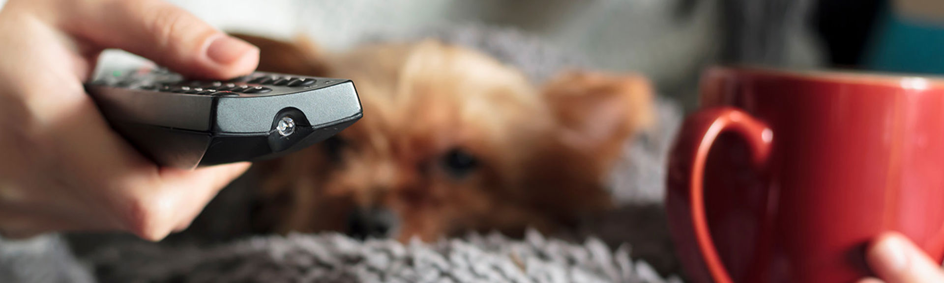 woman holding tv remote and mug with pet on her lap.