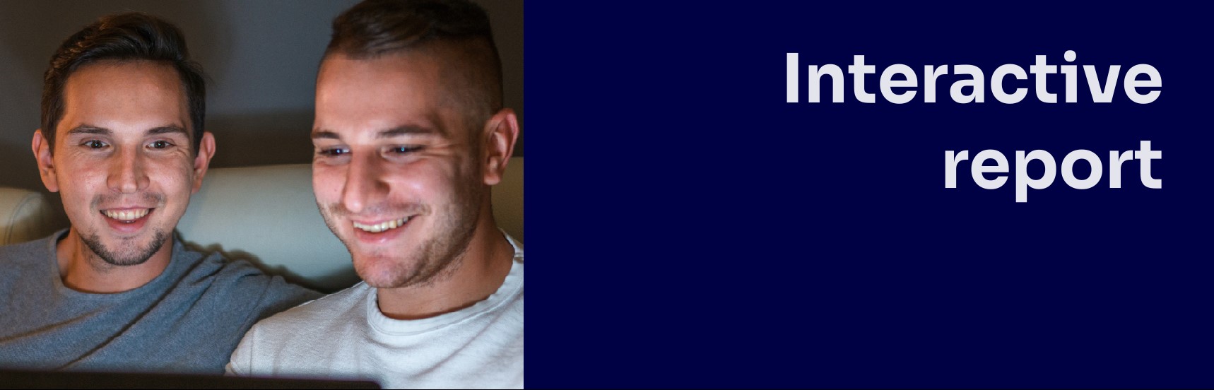 Link to the interactive report