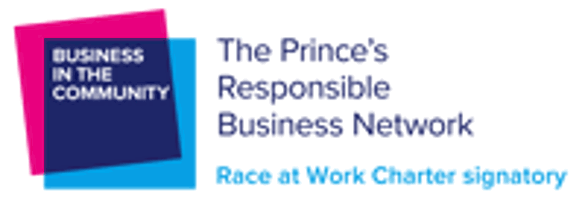 Race at Work Charter Signatory